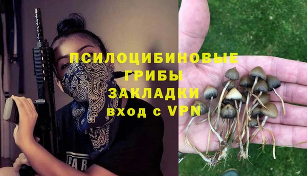бошки Новокубанск
