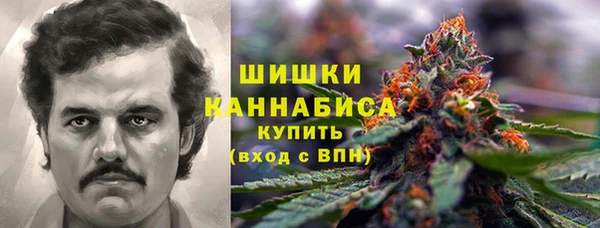 ешки Нефтегорск